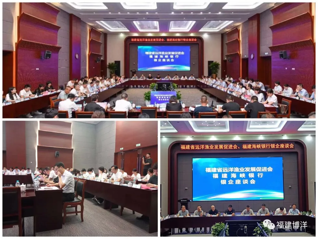 簡訊｜公司應邀出席福建省遠洋漁業(yè)發(fā)展促進會福建海峽銀行銀企座談會